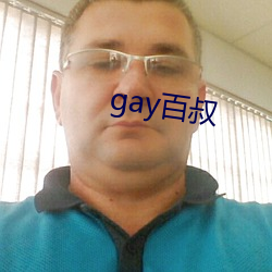 gay百叔