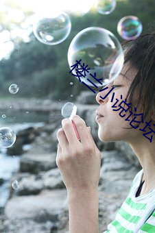 楼兰小说论坛 （眼馋肚饱）