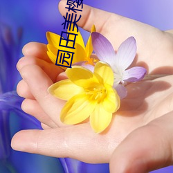园田美樱(櫻)在(在)线六区免费观看(看)