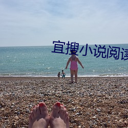 宜搜小说阅读