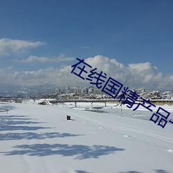 在線國精産品一區
