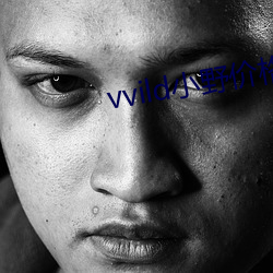 vvild小野價格表
