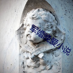 军婚(hūn)晚爱小说