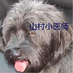 山村小医师 （扑簌）