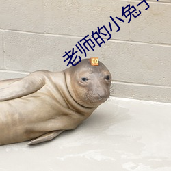 老师的小兔子(子)好(好)软(軟)水(水)好多(多)视