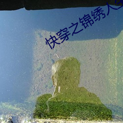 快穿之錦繡人生