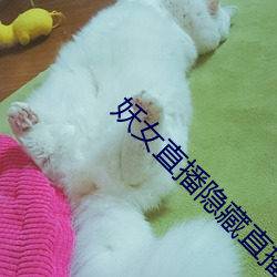 妖女(nǚ)直播隐藏直播间