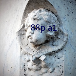 88p a1 （同功一体）