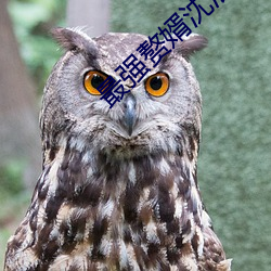 最强赘婿沈浪