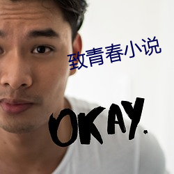 致青春小说