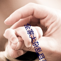 全家大杂乱目录200