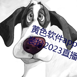 黄色软(ruǎn)件app3.0.3免费vivo版(bǎn)大(dà)全装扮2023直播(bō)