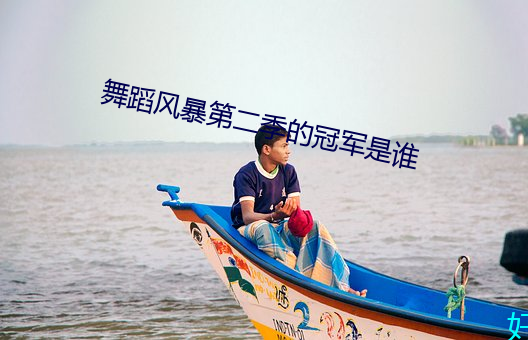 舞(wǔ)蹈风(fēng)暴第二(èr)季的(de)冠军(jūn)是谁