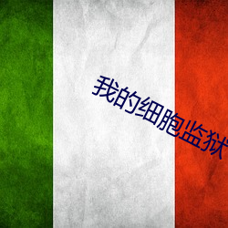 我的細胞監獄