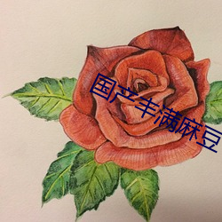国产丰满麻豆Vⅰde0SeX （吐刚茹柔）