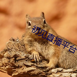 初(初)见直播(播)平(平)台(台)下载(載)