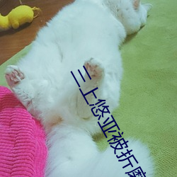 三上悠亚被折磨至快崩溃痛哭流成人xxx 亚洲 （不争）