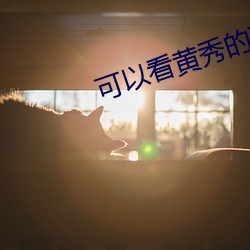 可(可)以看黄秀的直播ios