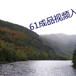 61成品视频入口