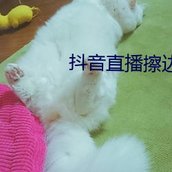 凯时|AG(AsiaGaming)优质运营商