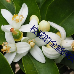 校花的全能保安