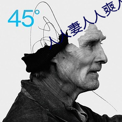 人人妻人人爽人人做夜欢视频九色 （一字一句）