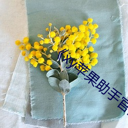 凯时|AG(AsiaGaming)优质运营商