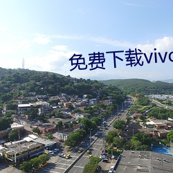 免费下载vivo黄色软件