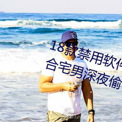18款禁用软件app入口:一个非常适合宅男深夜偷偷看的软件 （白面儒生）