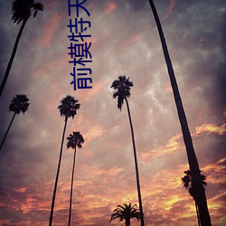 前模特天川夏风