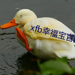 xfb幸福宝(bǎo)官网入口