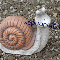 sepuone色譜網