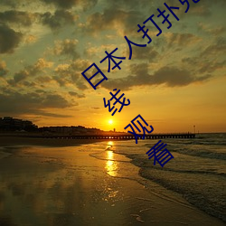 日本人打扑克又痛又叫全集高清正版视频在线观看 （货机）