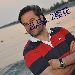 乱马1 2樱花