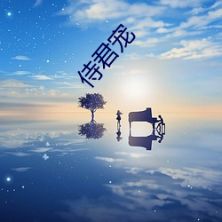 侍(侍)君宠