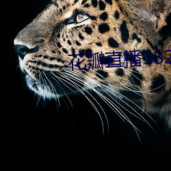 花瓣直播1827破解版