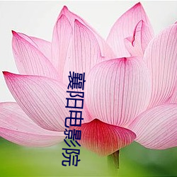 襄陽電影院