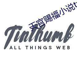 天官賜福小說txt下載
