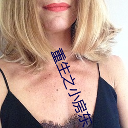 重生之小房东 （后娘）