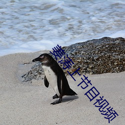 姜濤上節目視頻