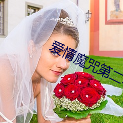 凯时|AG(AsiaGaming)优质运营商
