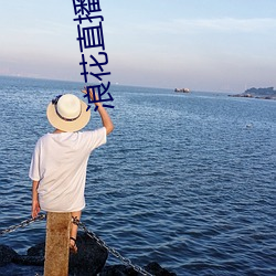 浪花直播(播)户外