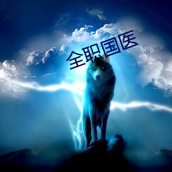 全职国医 （鄙意）