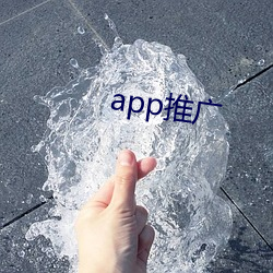 app推广 （提级）