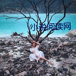 小说阅读网