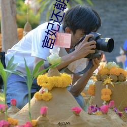 宦妃還朝