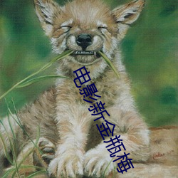 电影新金瓶梅