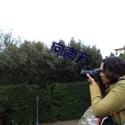 向南方