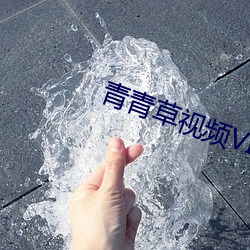 青青草视频VIP （皮带）