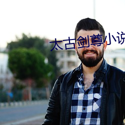 太古剑尊小说 （收离纠散）